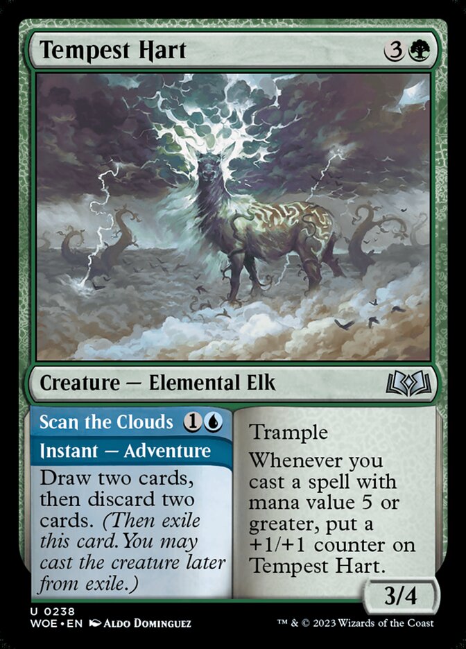 image Tempest Hart // Scan the Clouds