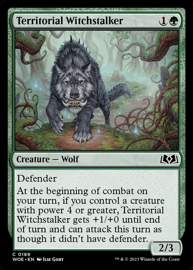 image Territorial Witchstalker