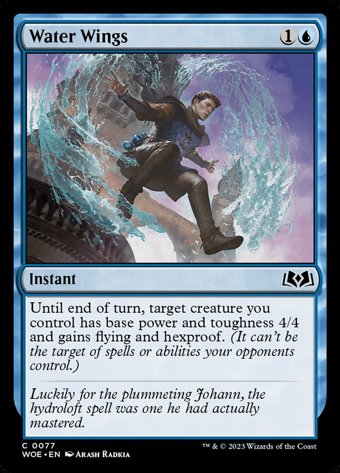 image Water Wings