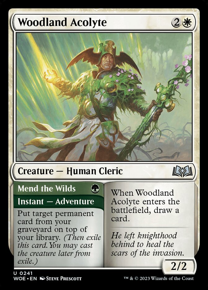 image Woodland Acolyte // Mend the Wilds