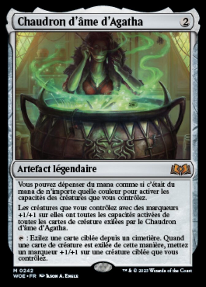 image Chaudron d'âme d'Agatha