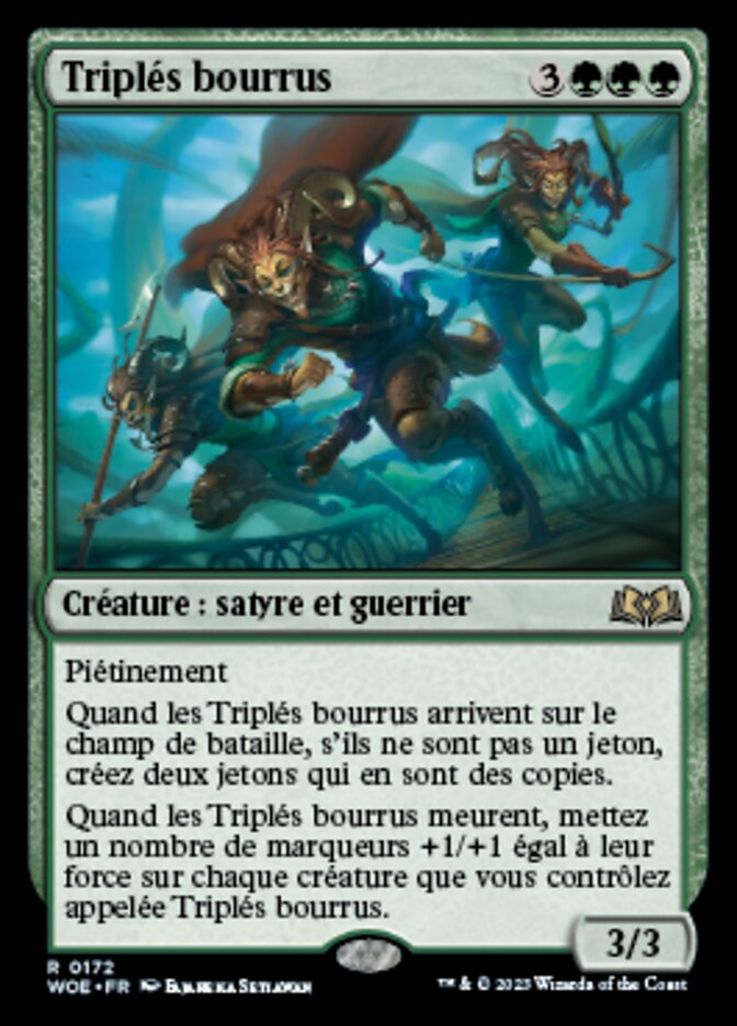 image Triplés bourrus