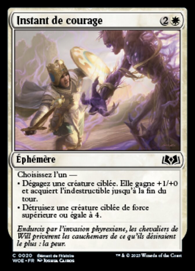 image Instant de courage