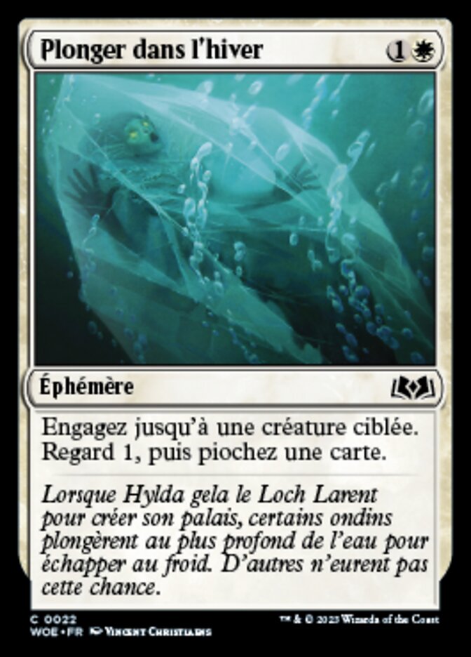 image Plonger dans l'hiver