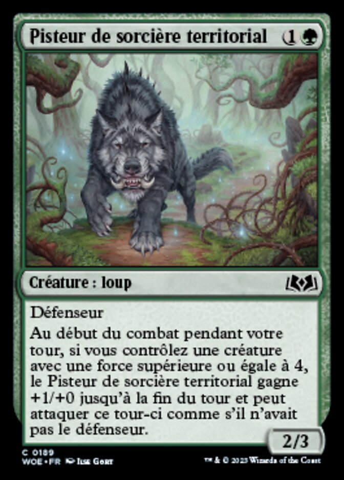 image Pisteur de sorcière territorial