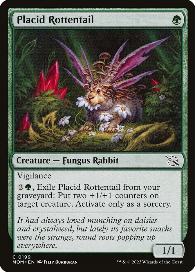 image Placid Rottentail