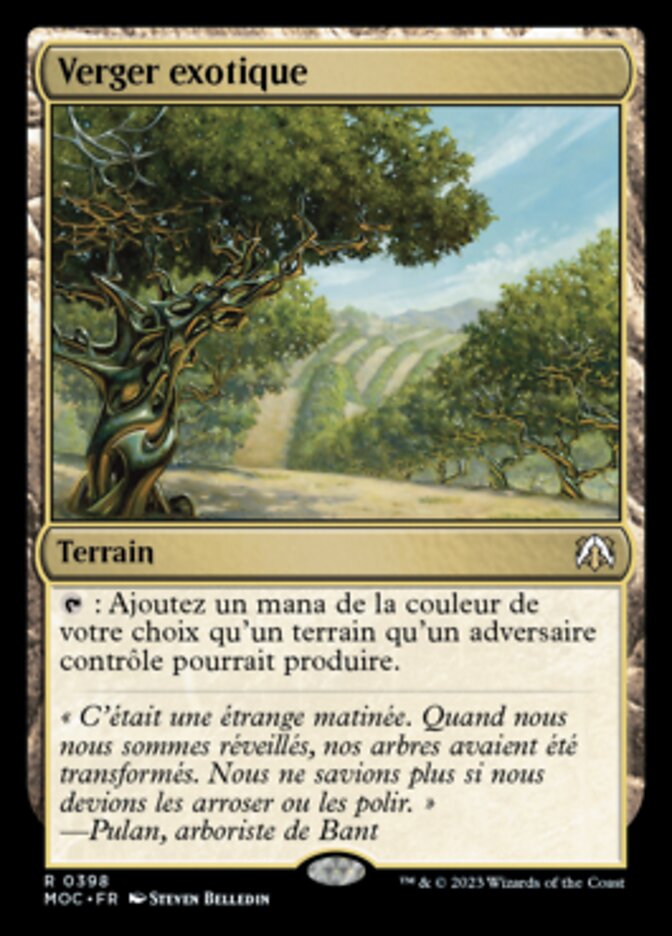 image Verger exotique