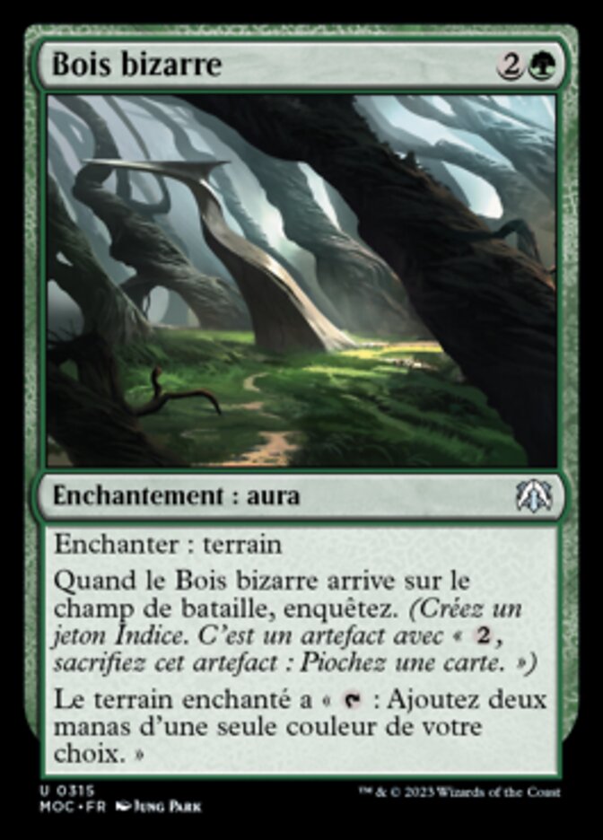 image Bois bizarre