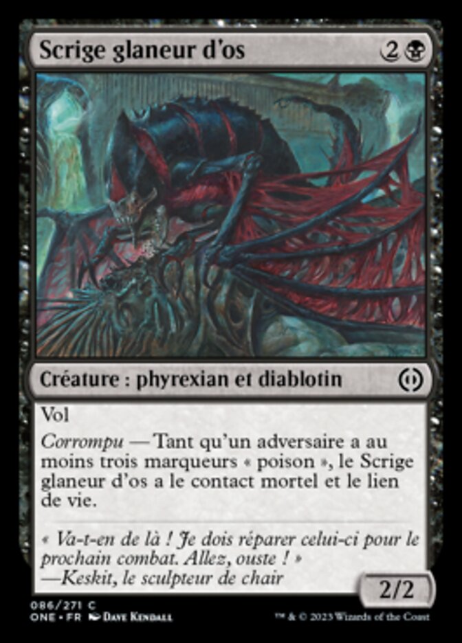 image Scrige glaneur d'os