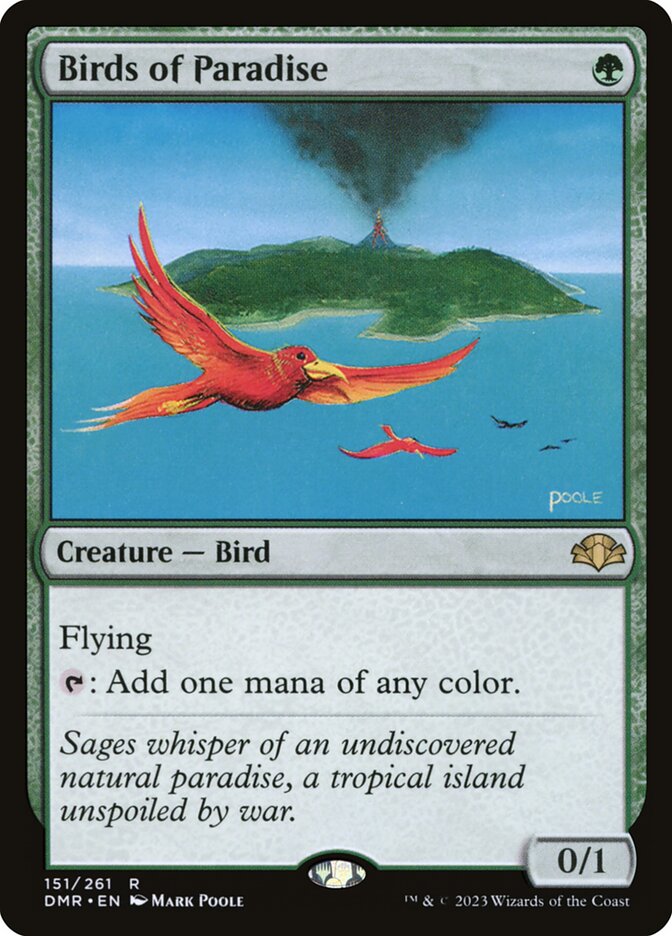 image Birds of Paradise