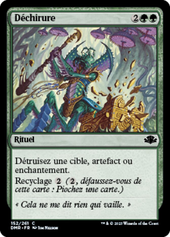 image Déchirure