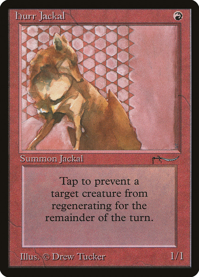 image Hurr Jackal