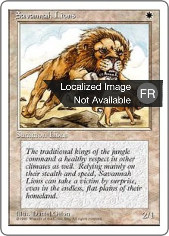 image Lions des savanes