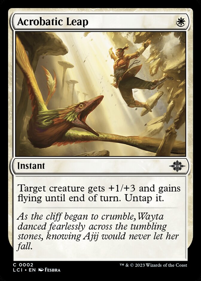 image Acrobatic Leap