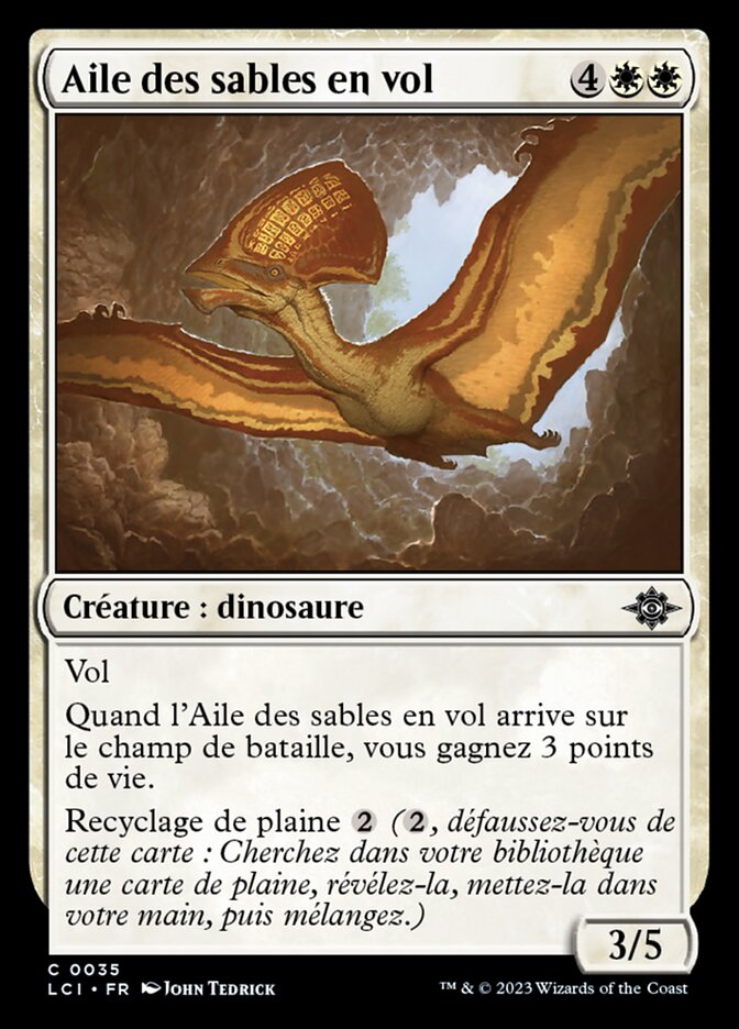image Aile des sables en vol
