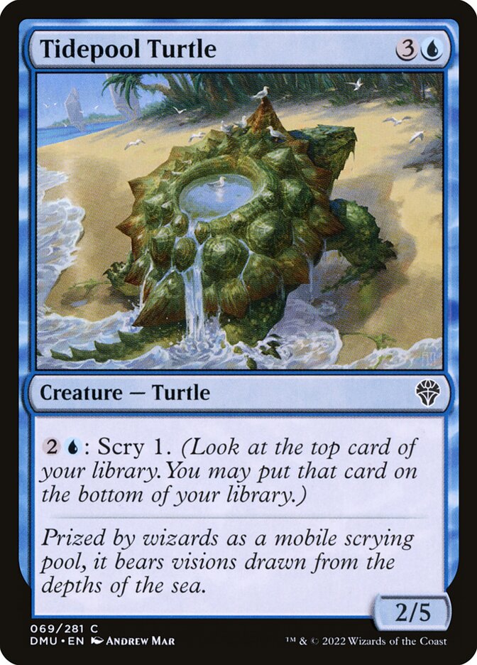 image Tidepool Turtle