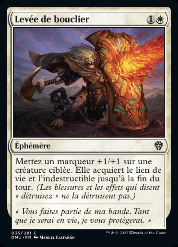image Levée de bouclier