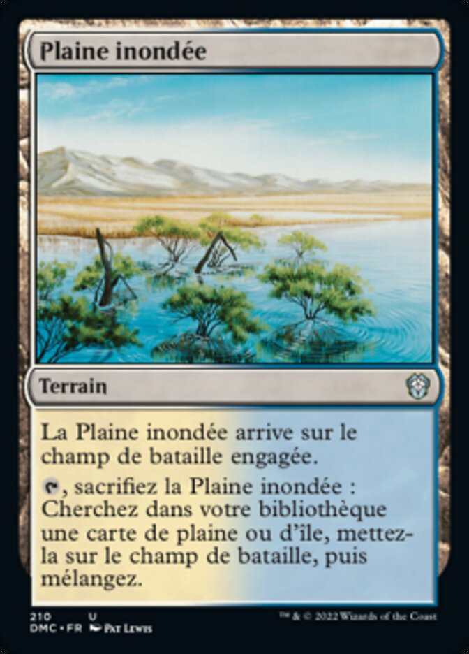 image Plaine inondée