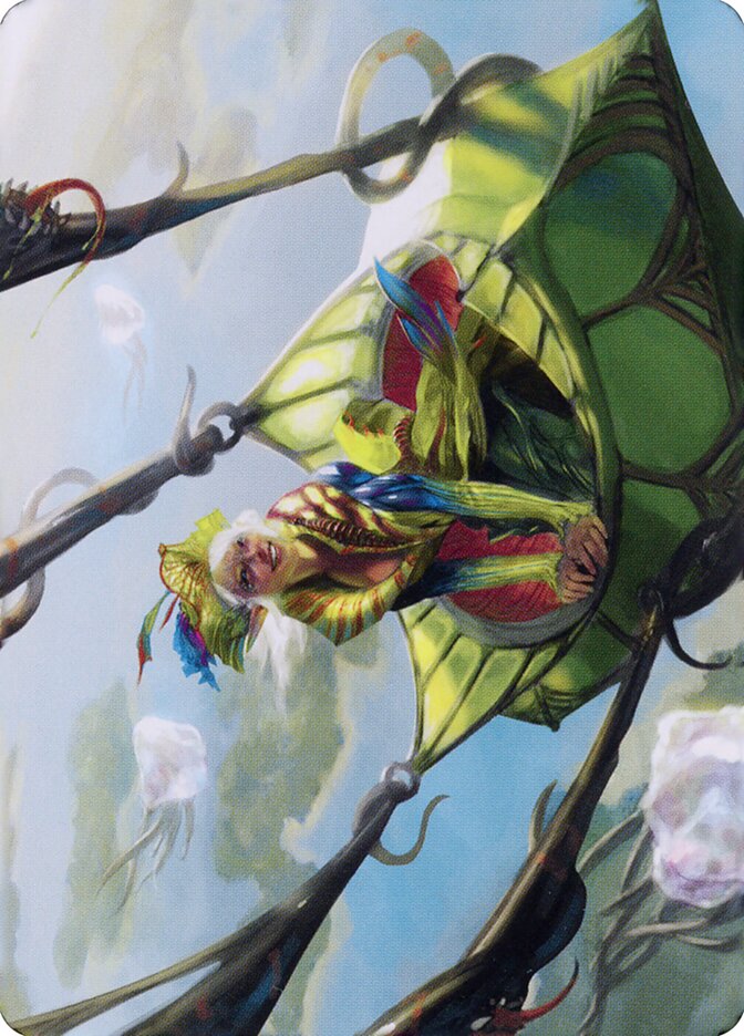 image Nael, Avizoa Aeronaut // Nael, Avizoa Aeronaut