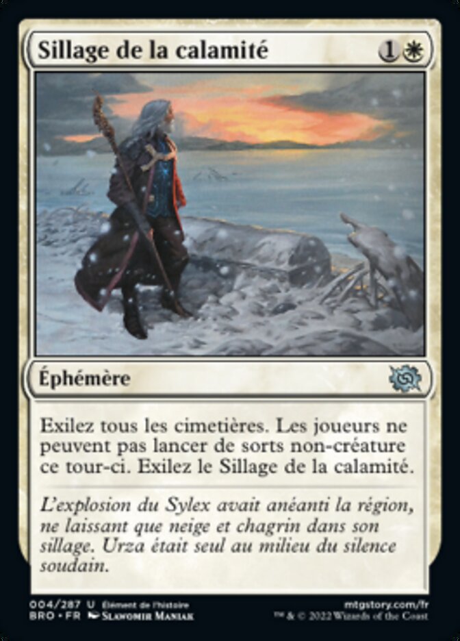 image Sillage de la calamité