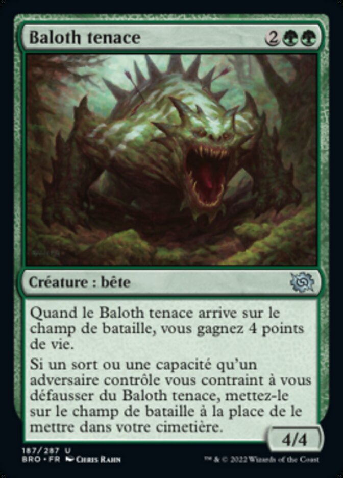 image Baloth tenace