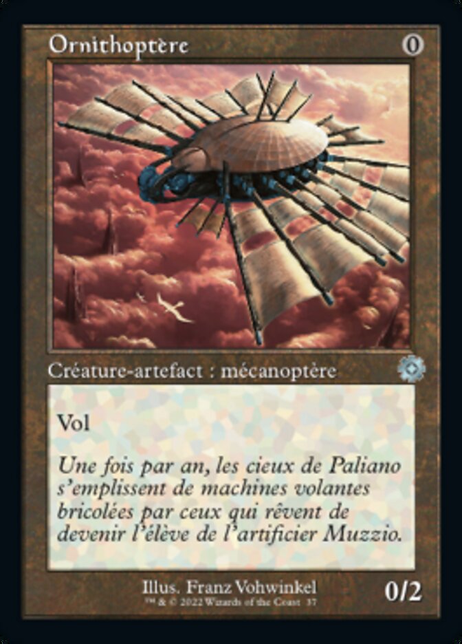 image Ornithoptère