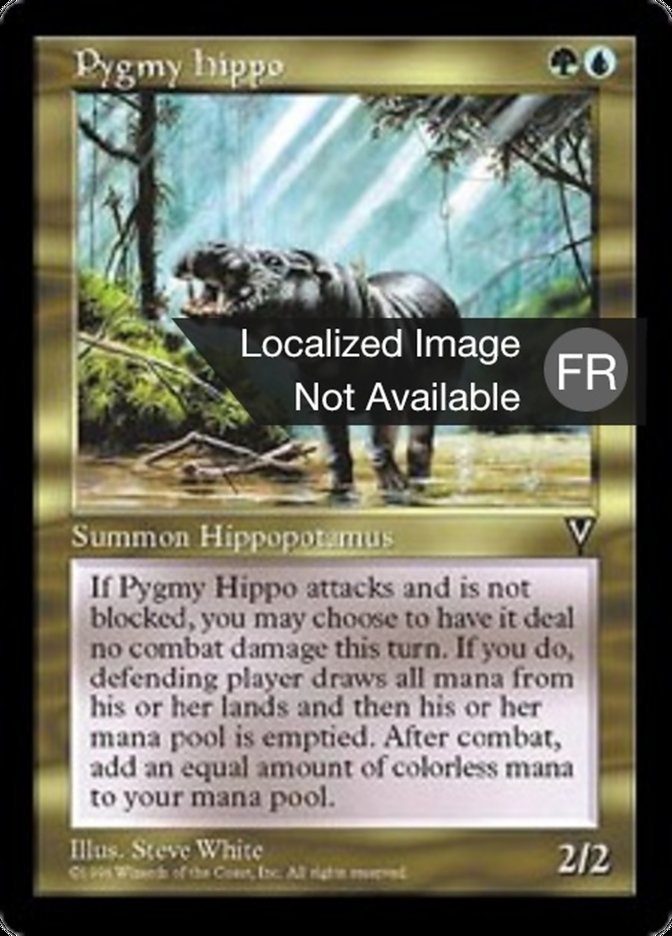 image Hippopotame pygmée