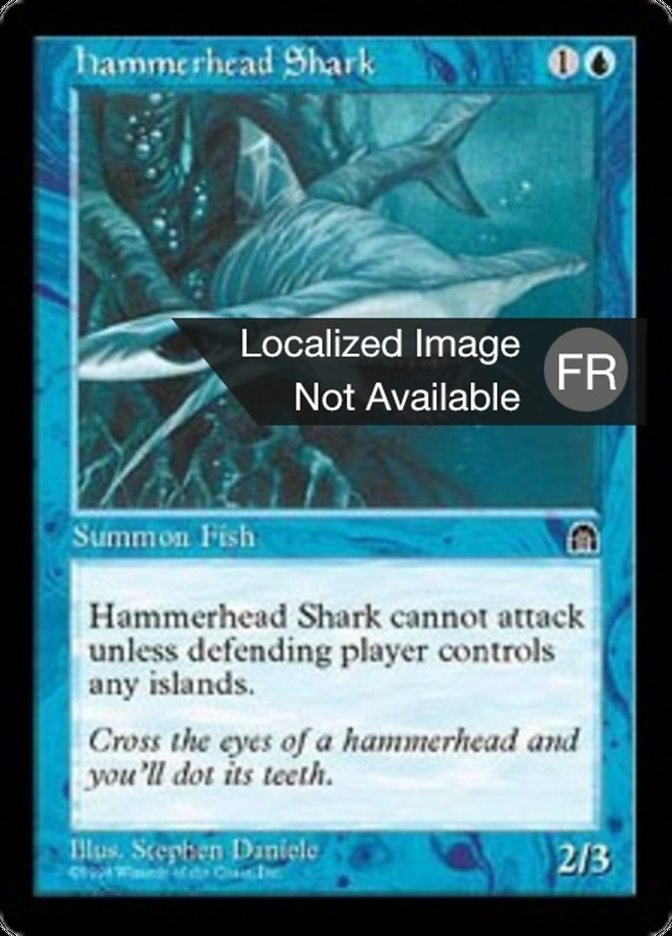 image Requin marteau