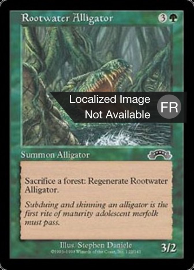 image Alligator de Souchemer