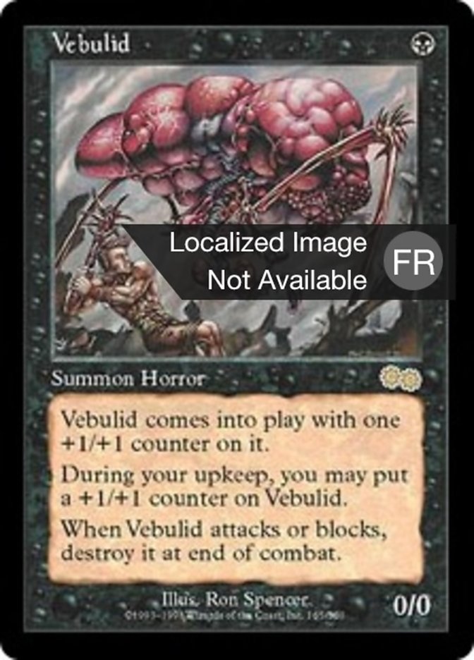 image Velubid