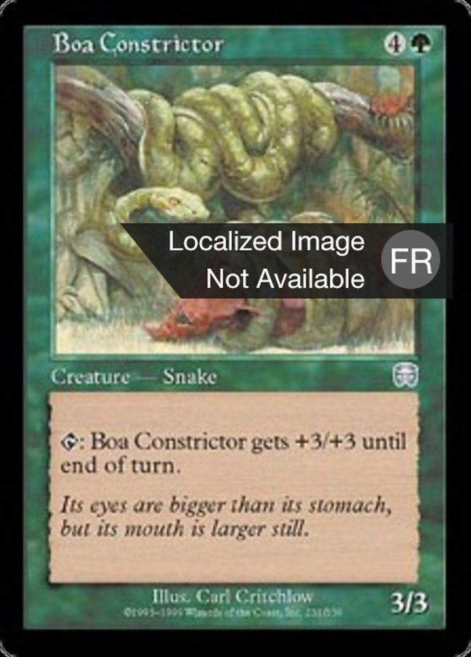 image Boa constrictor