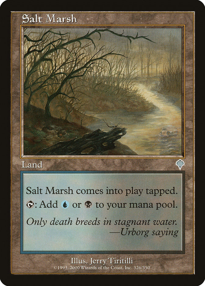 image Salt Marsh