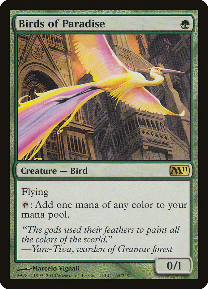 image Birds of Paradise