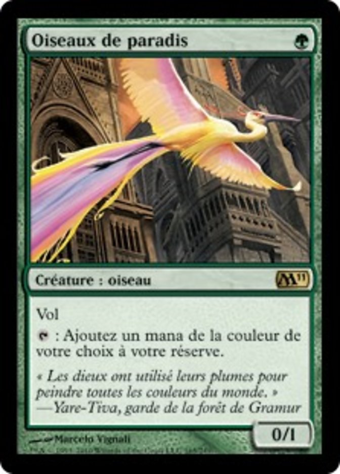 image Oiseaux de paradis