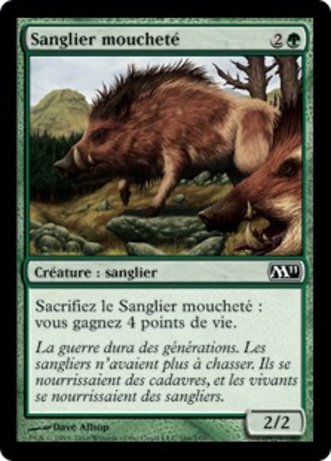 image Sanglier moucheté