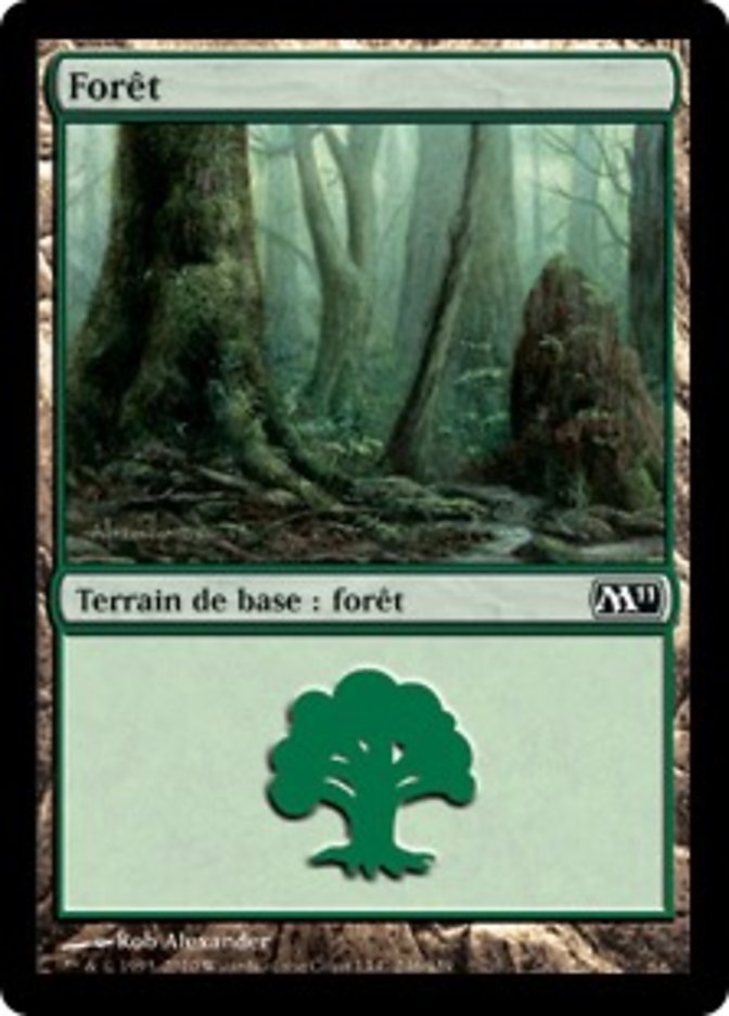 image Forêt