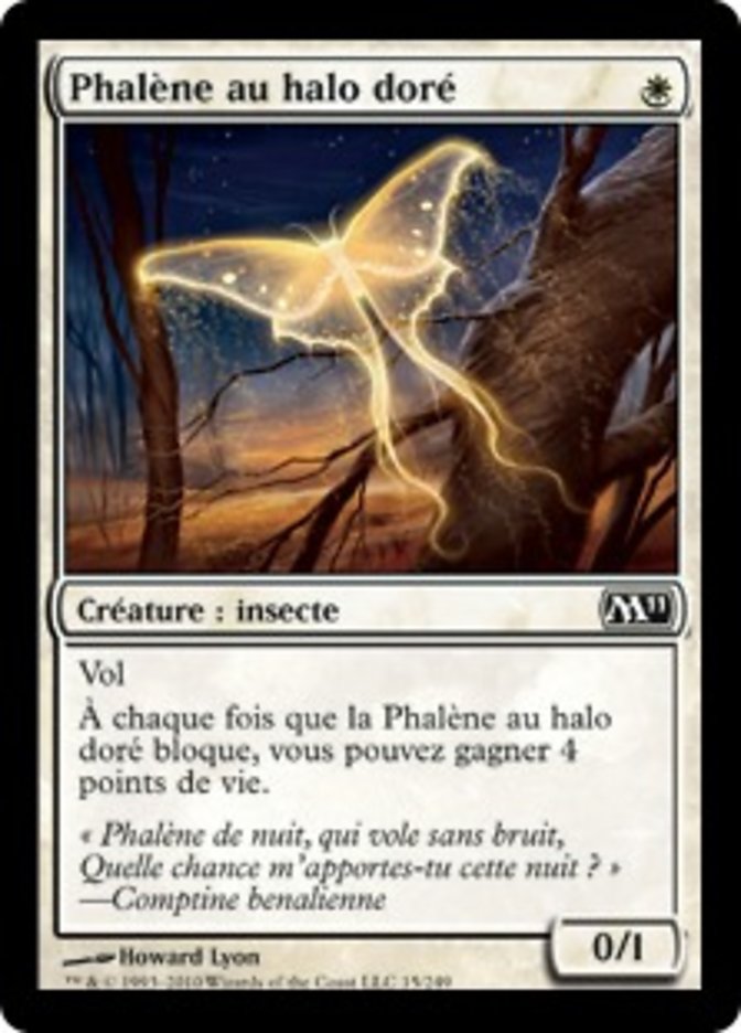 image Phalène au halo doré