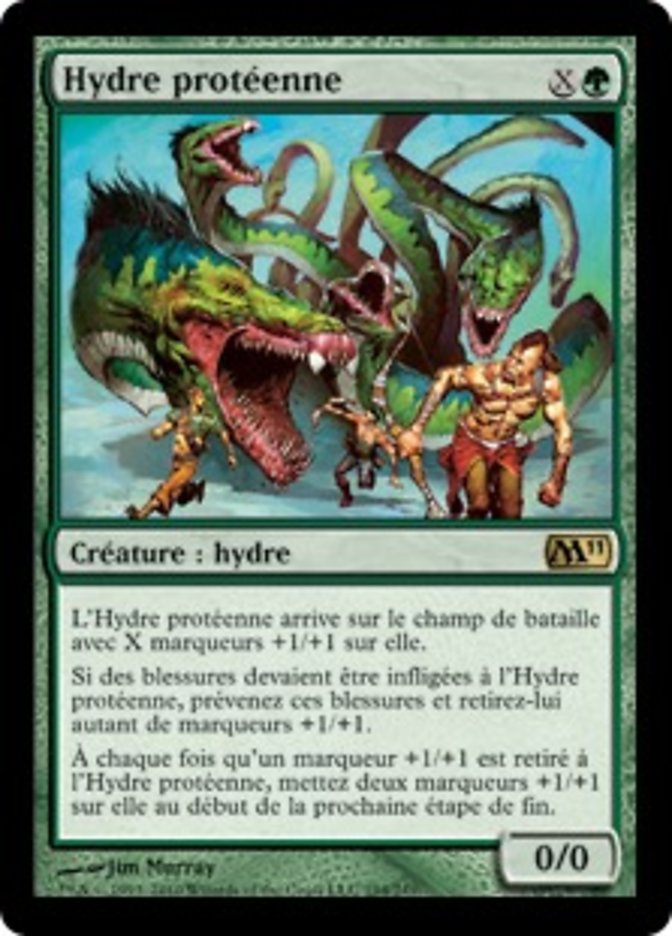image Hydre protéenne