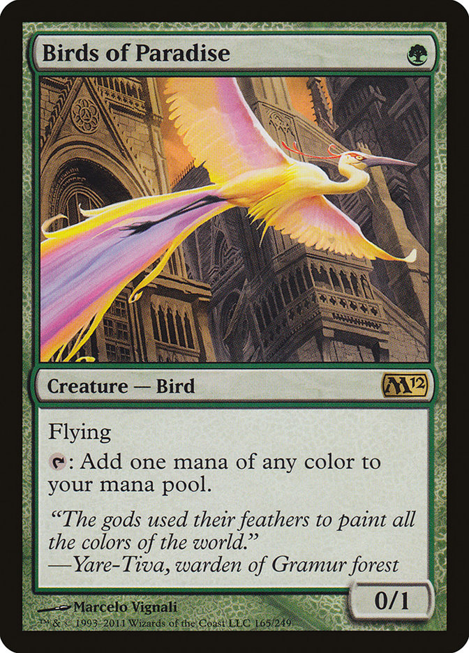 image Birds of Paradise