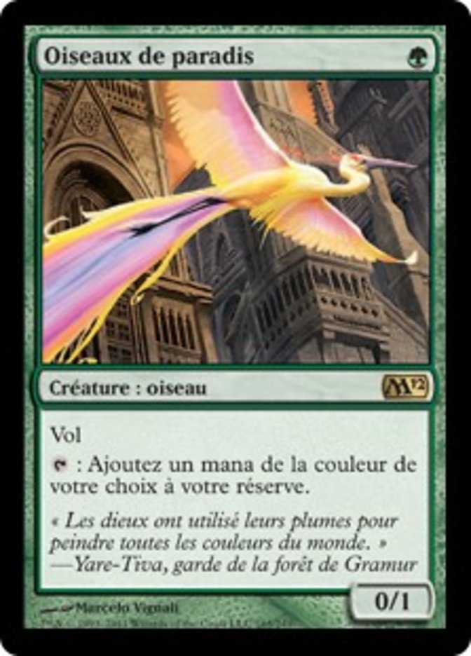 image Oiseaux de paradis
