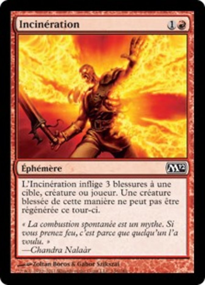 image Incinération