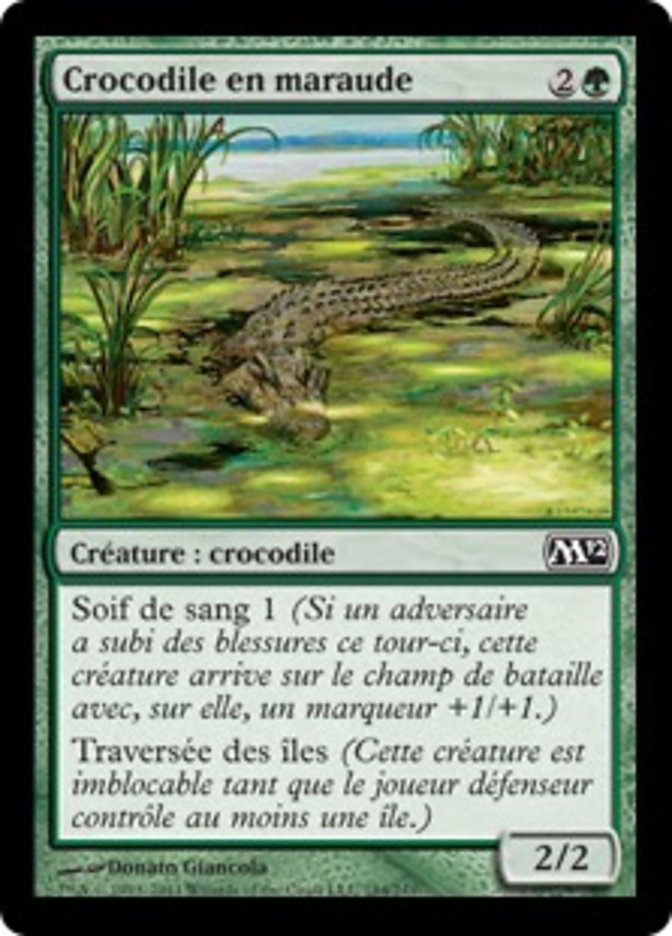 image Crocodile en maraude