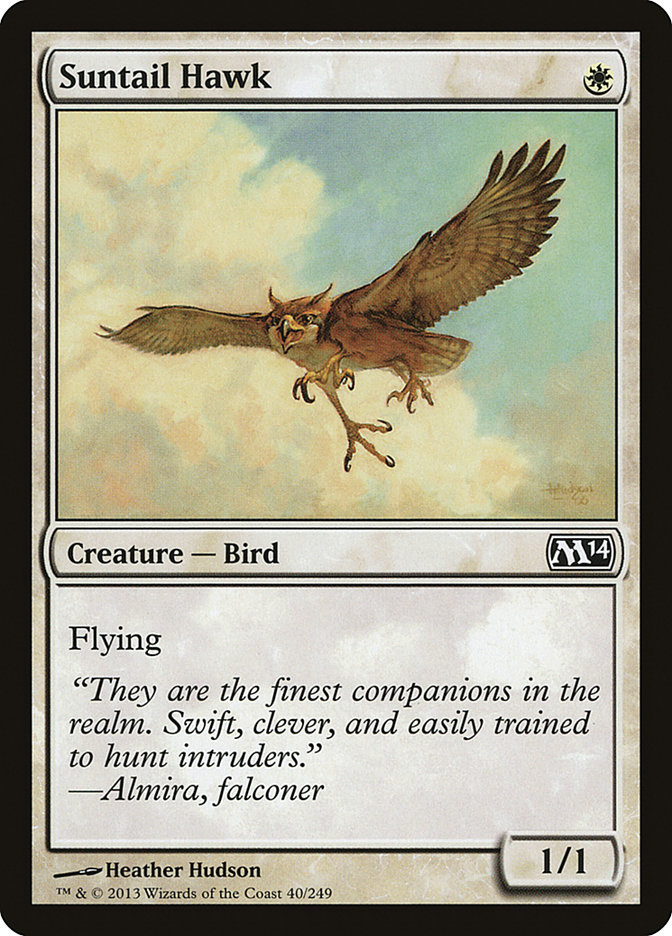 image Suntail Hawk