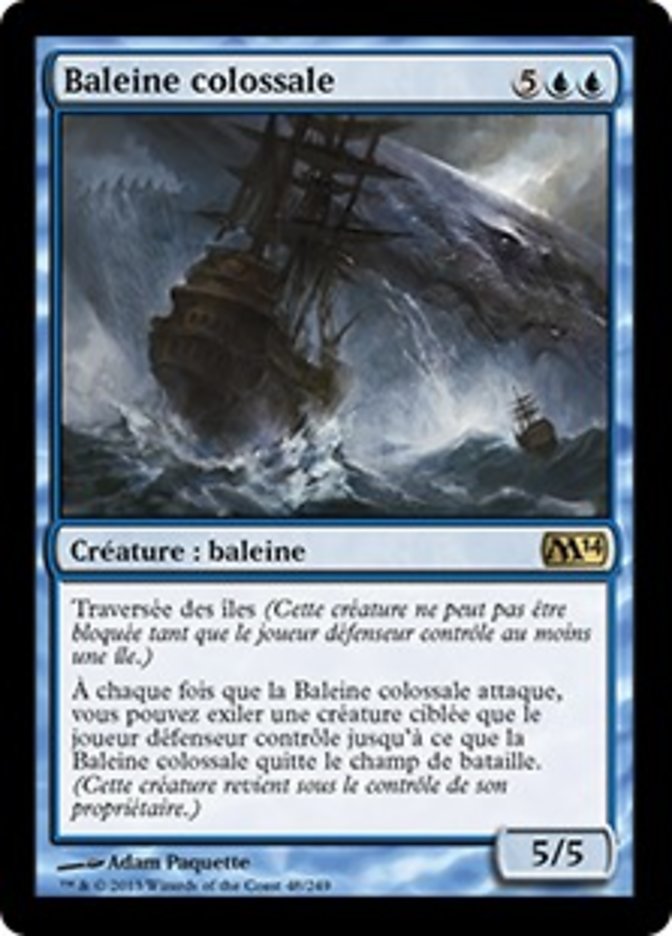 image Baleine colossale