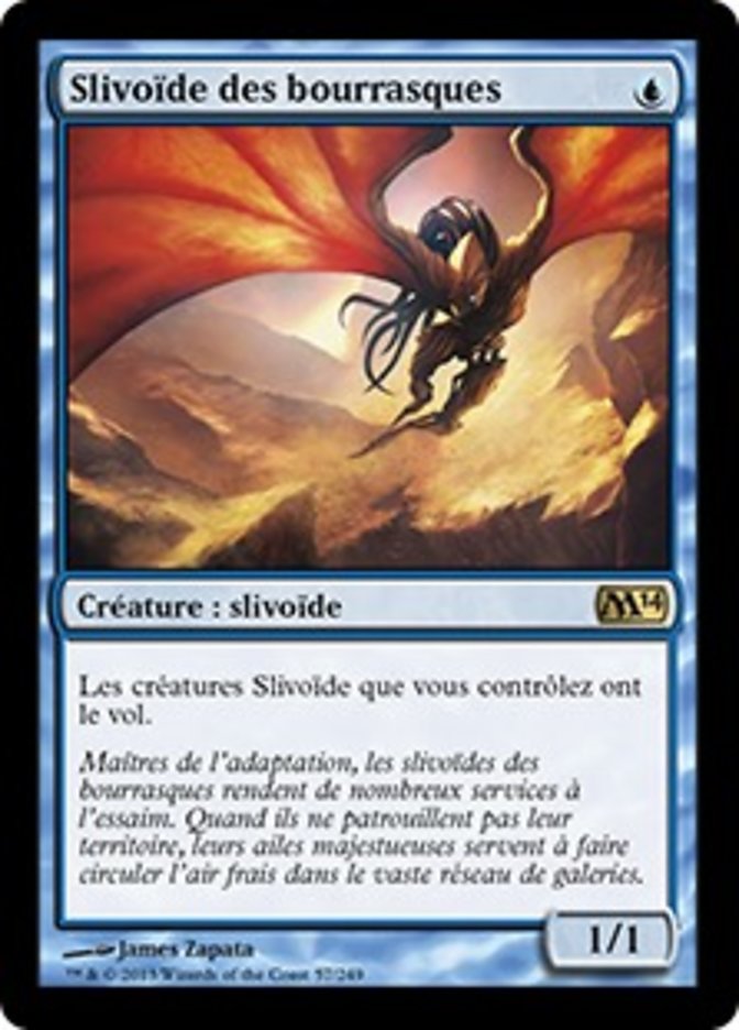 image Slivoïde des bourrasques