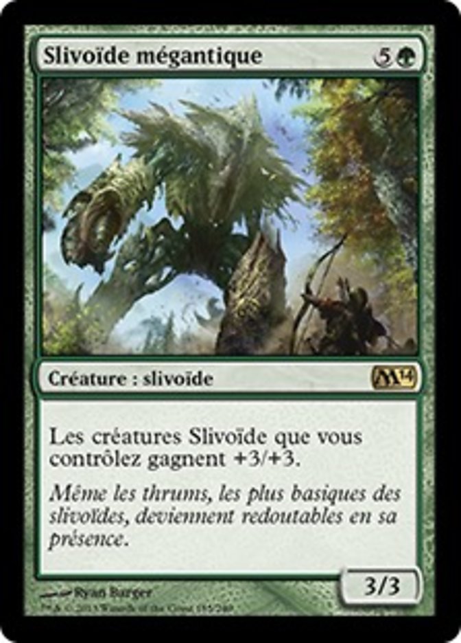 image Slivoïde mégantique