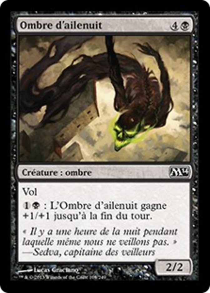image Ombre d'ailenuit