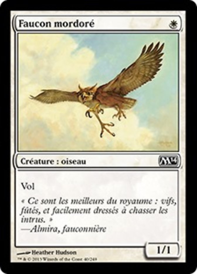 image Faucon mordoré