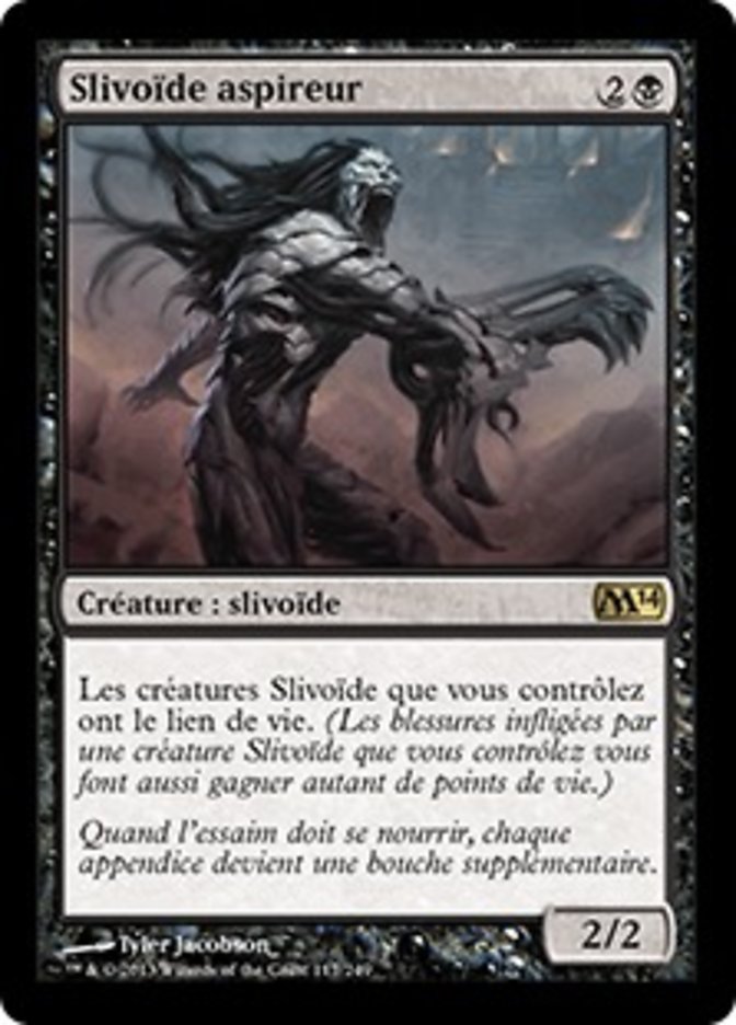 image Slivoïde aspireur