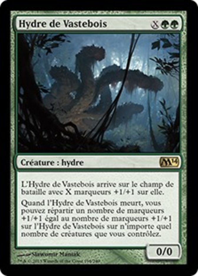 image Hydre de Vastebois